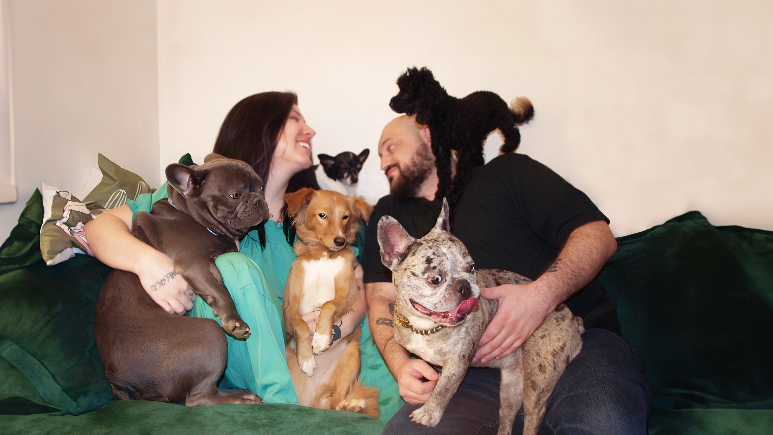 הפנסיון הביתי של מאצ'קה לכלבים קטנים | פנסיון ביתי ללא כלובים בצפון תל אביב